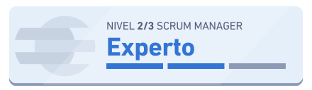 Nivel académico: Experto